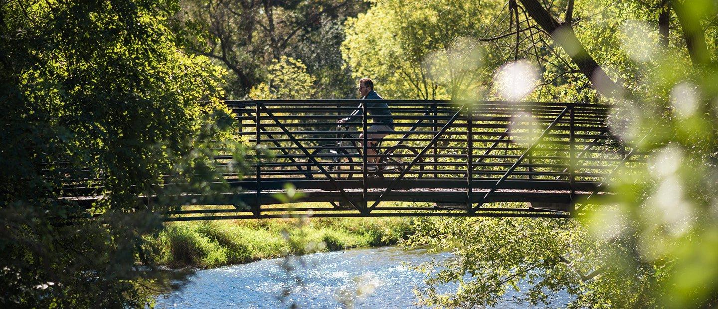 一个人在树林里水上的桥上骑自行车